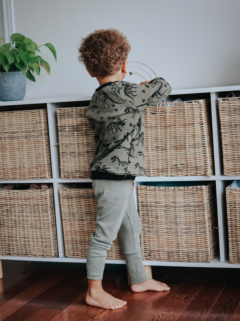 Dino Cozy Grow with Me Crewneck