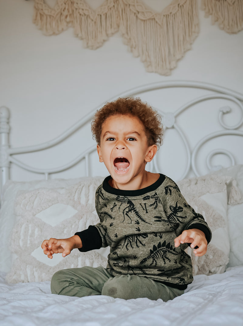 Dino Cozy Grow with Me Crewneck